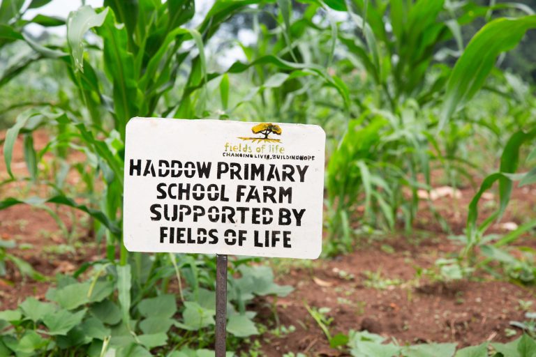 Sign for Haddow Primary School, in the Diocese of Maridi, which is supported by the Fields of Life programme. Photo Credit: Fields of Life